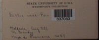 Image Associated With the Occurence